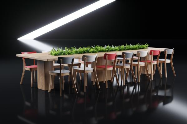 Large dining table with chairs and plants
