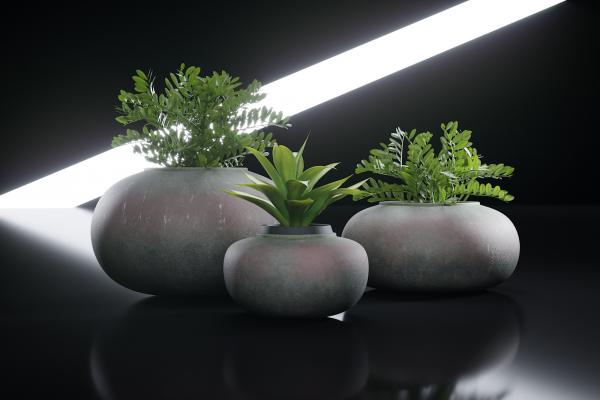 Exotic plants in rock shaped planters